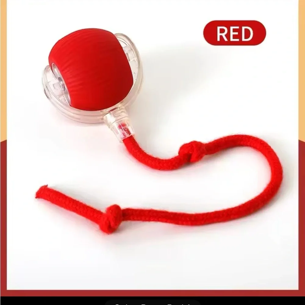 Cat Automatic Toy